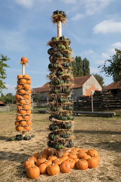 Abóboras de outono maduras dispostas em totem — Fotografia de Stock