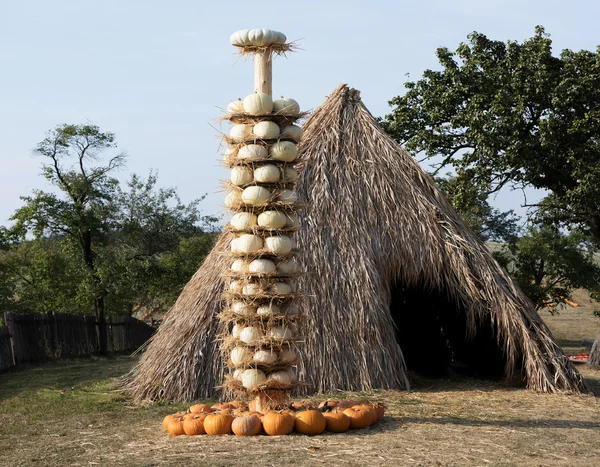 Abóboras de outono maduras dispostas em totem — Fotografia de Stock