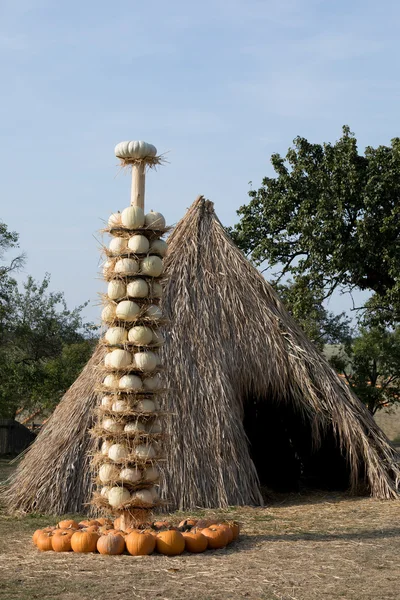 Maturo autunno zucche disposti su totem — Foto Stock