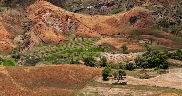 Fazenda malgaxe com campos em terraços — Fotografia de Stock