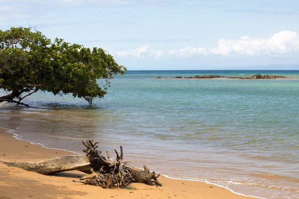 Bellissimo paradiso dei sogni spiaggia naturale madagvania — Foto Stock