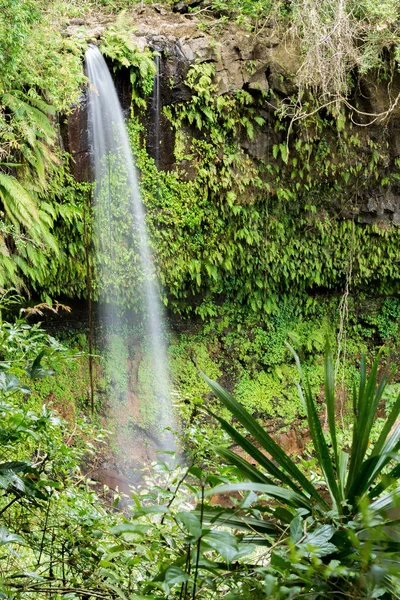 Kleiner Wasserfall im Bernstein-Nationalpark — Stockfoto