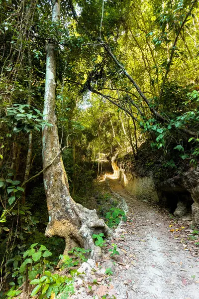 Cesta cesta, Indonésie, Bali — Stock fotografie