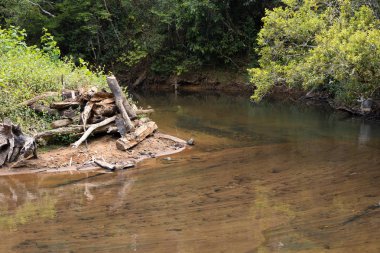 Madagaskar güzel manzara