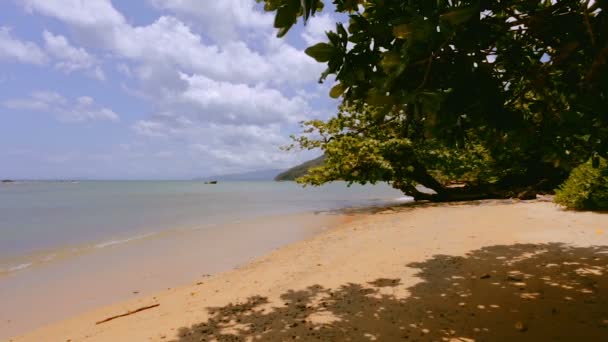 Szép álom paradise természet beach Madagaszkár — Stock videók