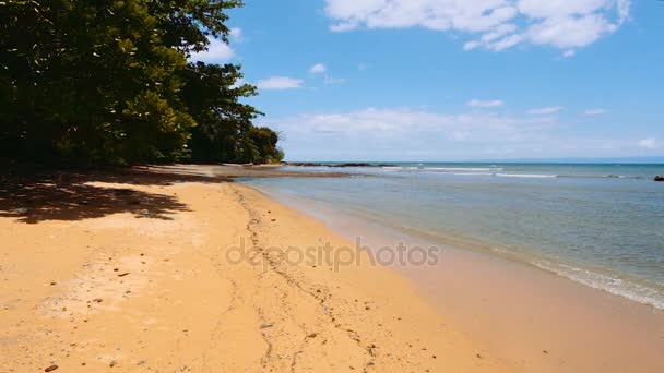 美丽的梦天堂自然海滩马达加斯加 — 图库视频影像