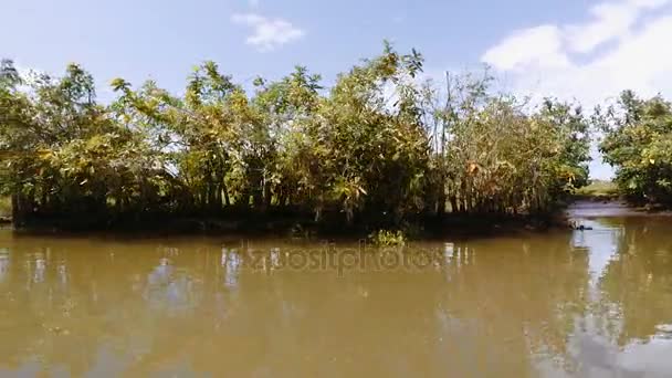 Madagáscar paisagem fluvial tradicional — Vídeo de Stock