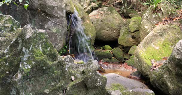 Kleiner wasserfall im masoala nationalpark, madagascar — Stockvideo