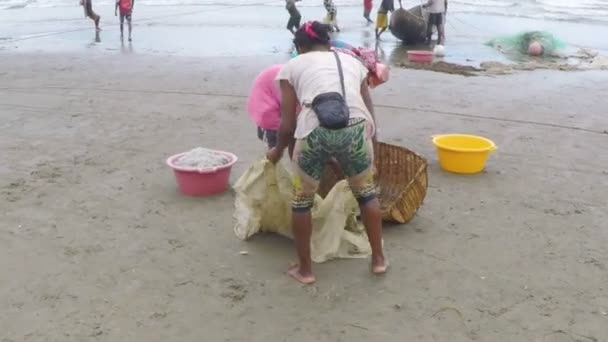 Pescadores nativos pescando no mar, mulher selecionando captura de peixe — Vídeo de Stock