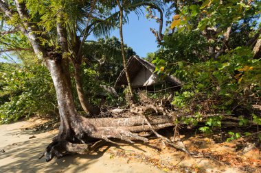 Güzel rüya Cennet plaj, Madagaskar