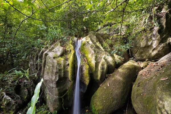 Kleiner wasserfall im masoala nationalpark, madagascar — Stockfoto
