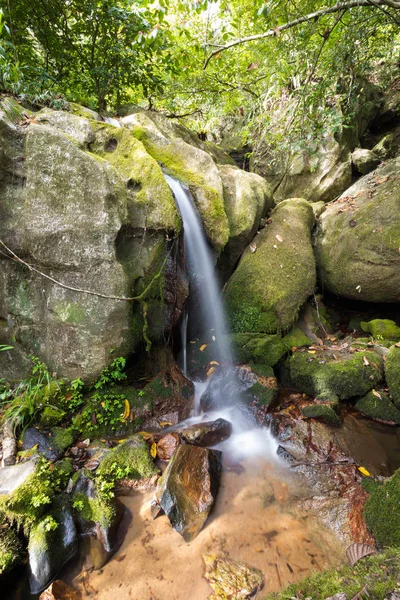 Pequena cachoeira no parque nacional de Masoala, Madagascar — Fotografia de Stock