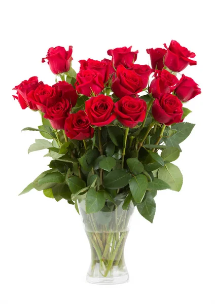 Bouquet di rose rosse fresche di San Valentino isolato — Foto Stock
