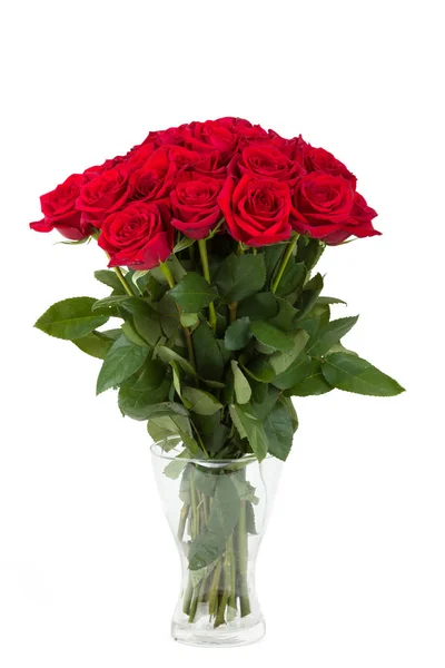 Bouquet di rose rosse fresche di San Valentino isolato — Foto Stock