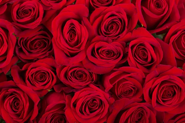 Bouquet de roses rouges fraîches Photo De Stock