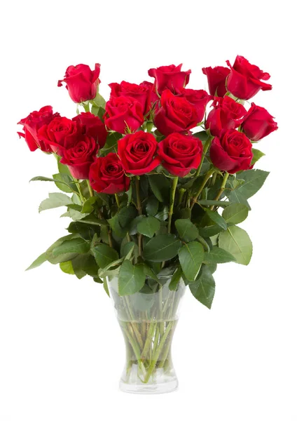 Bouquet of fresh valentine red roses isolated Royalty Free Stock Images