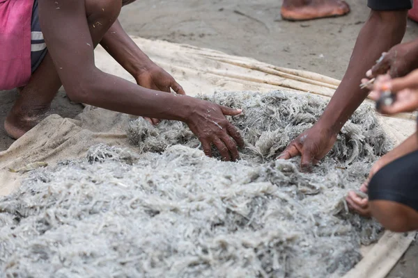 Yerel Madagaskarlı balıkçılar balıkçılık deniz, Madagaskar