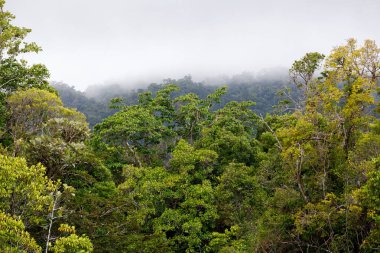 Masoala Milli Parkı, Madagaskar, manzara