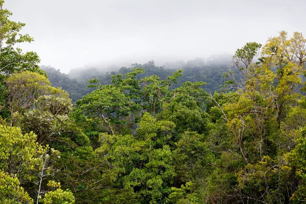 Paisagem do Parque Nacional de Masoala, Madagáscar — Fotografia de Stock