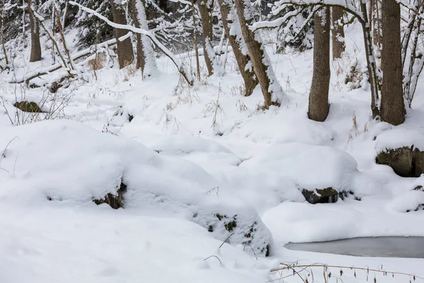 Paisaje de invierno con arroyo cubierto de nieve — Foto de Stock