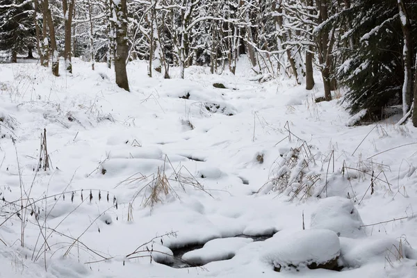 被雪覆盖的小溪的冬季景观 — 图库照片
