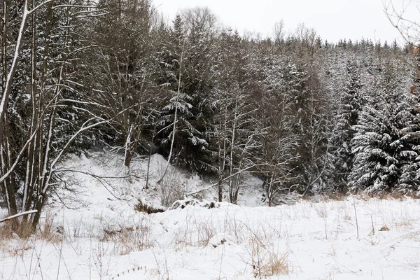 Paisaje invernal Highland checo — Foto de Stock