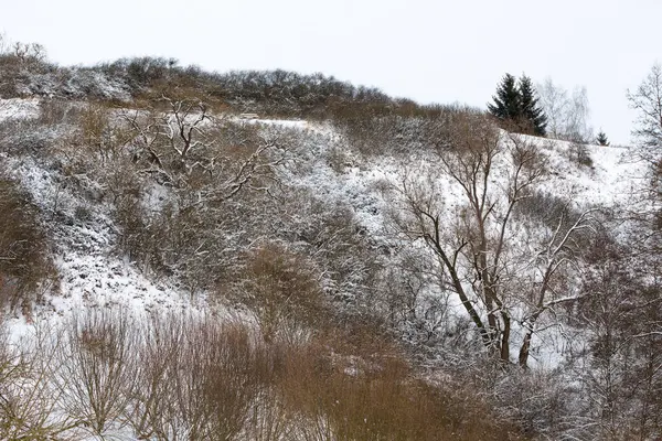 Zima Krajobraz Czech Highland — Zdjęcie stockowe