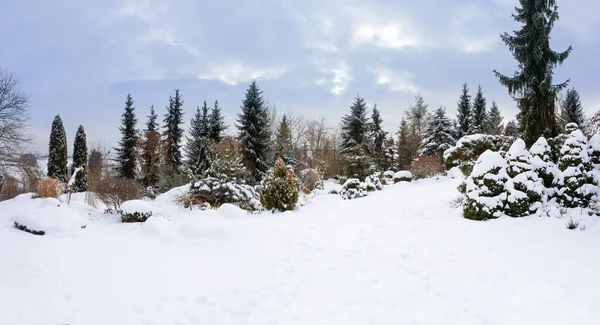 Beautiful winter garden covered by snow — Stock Photo, Image