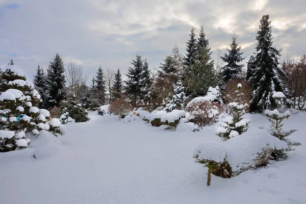 Vackra vinterträdgård täckt av snö — Stockfoto