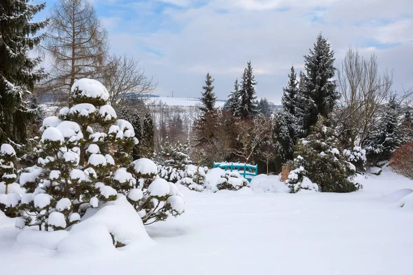 被雪覆盖的美丽的冬季花园 — 图库照片