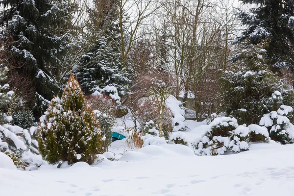 被雪覆盖的美丽的冬季花园 — 图库照片