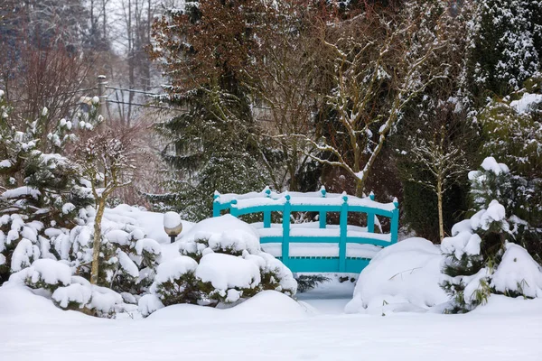 Hermoso jardín de invierno cubierto de nieve — Foto de Stock