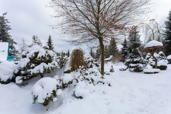 Vackra vinterträdgård täckt av snö — Stockfoto