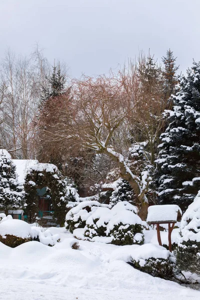 Vackra vinterträdgård täckt av snö — Stockfoto