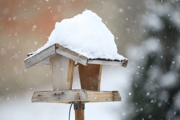 Enkel fågelmatare i vinterträdgården — Stockfoto
