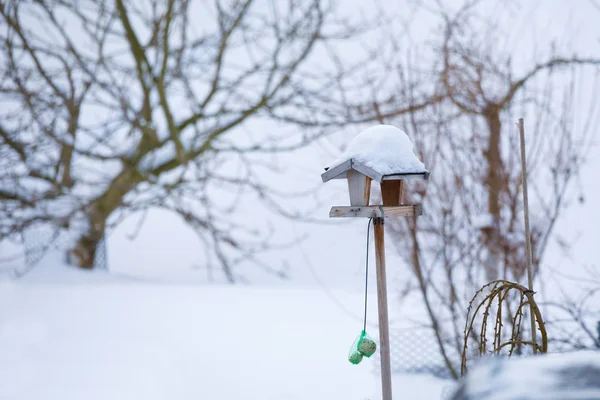 Enkla fågelholk i vinterträdgården — Stockfoto