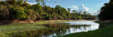 Ankarafantsika Park, Madagaskar yağmur ormanları