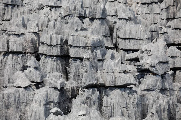 Tsingy rock formations in Ankarana, Madagascar — Stockfoto