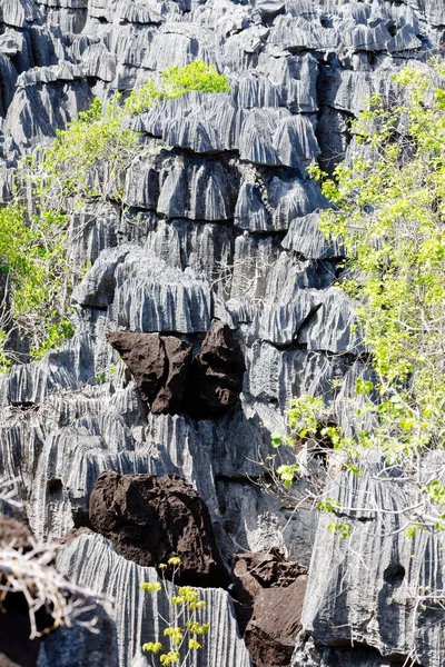 Tsingy Felsformationen in Ankarana, Madagaskar — Stockfoto