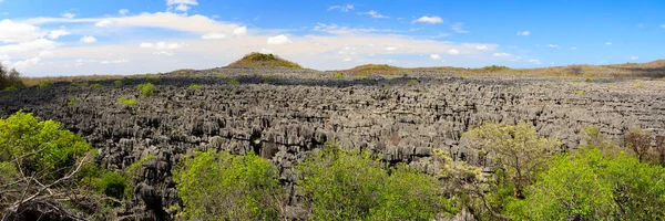 Tsingy rock formations in Ankarana, Madagascar — Stock Photo, Image