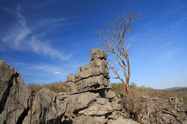 Formaciones rocosas singulares en Ankarana, Madagascar — Foto de Stock