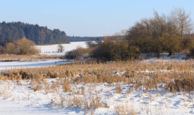 Güzel kış kırsal manzara gölet ile