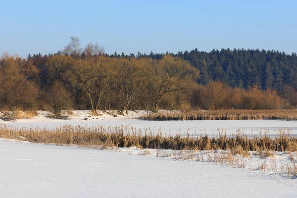 Schöne ländliche Winterlandschaft mit Teich — Stockfoto