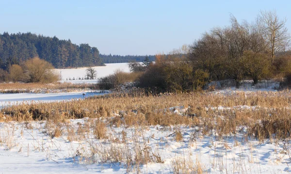 Schöne ländliche Winterlandschaft mit Teich — Stockfoto