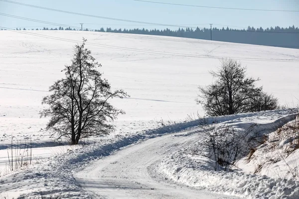 Soğuk güneşli bir kış kırsal yol — Stok fotoğraf