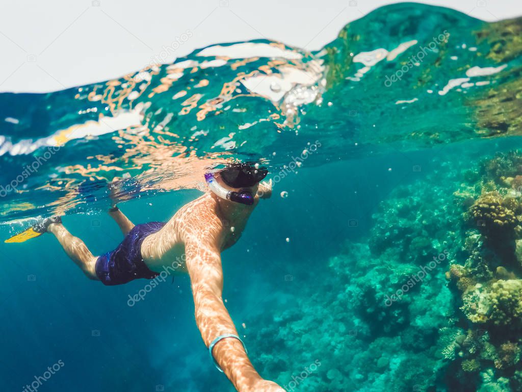 Snorkel swims in shallow water, Red Sea, Egypt Safaga