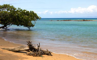 Güzel rüya cennet doğa plaj Madagaskar