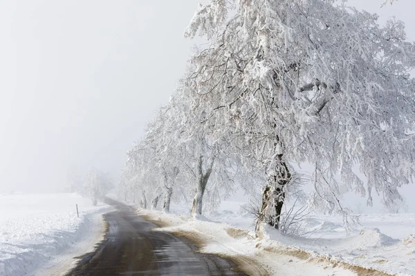 Campagne campagne hiver route entrant dans le brouillard — Photo