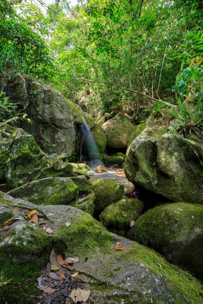 Cachoeira em Nosy Mangabe, Madagáscar — Fotografia de Stock