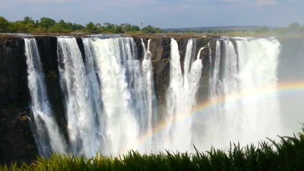 Victoria falls, Zimbabwe, Afrika vahşi manzara — Stok video
